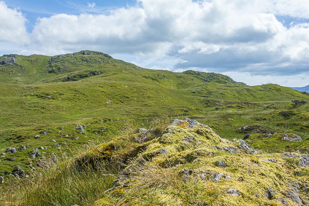 The Knight's summit
